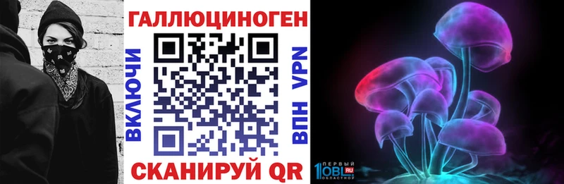 Купить закладки  Новоаннинский  Псилоцибиновые грибы GOLDEN TEACHER 