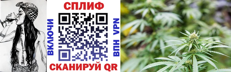 Канабис ГИДРОПОН  Купить закладки  Новоаннинский 